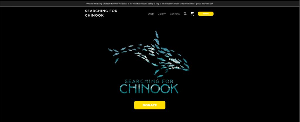 Searching for Chinook website redux